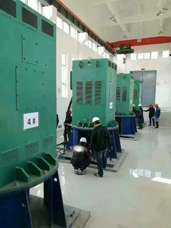 上甘岭某污水处理厂使用我厂的立式高压电机安装现场
